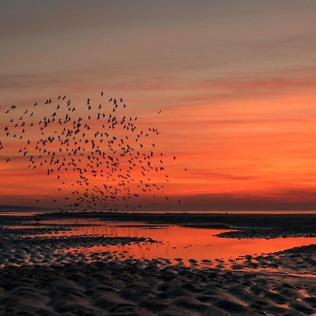 Hoekje Aan Zee Katwijk aan Zee Extérieur photo
