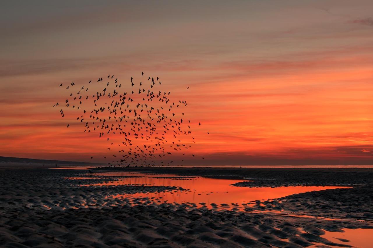 Hoekje Aan Zee Katwijk aan Zee Extérieur photo