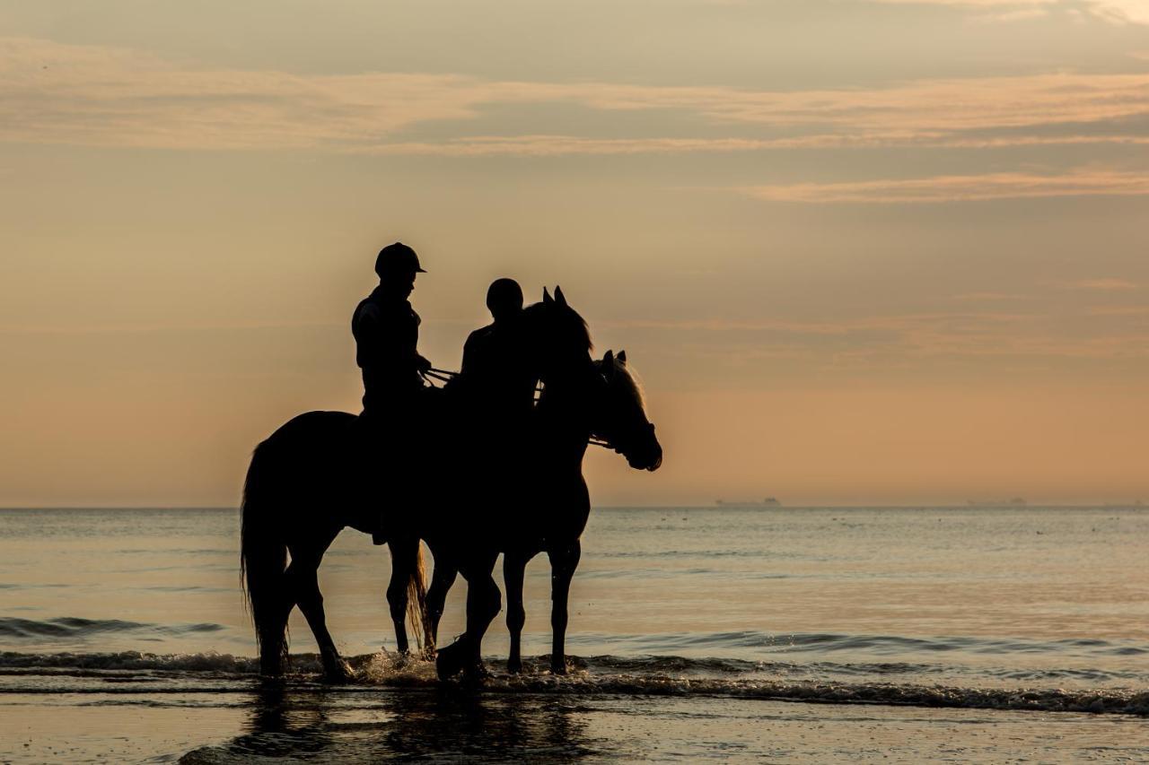 Hoekje Aan Zee Katwijk aan Zee Extérieur photo